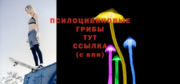 MDMA Premium VHQ Аркадак