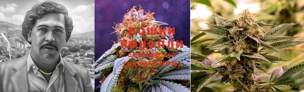 MDMA Premium VHQ Аркадак