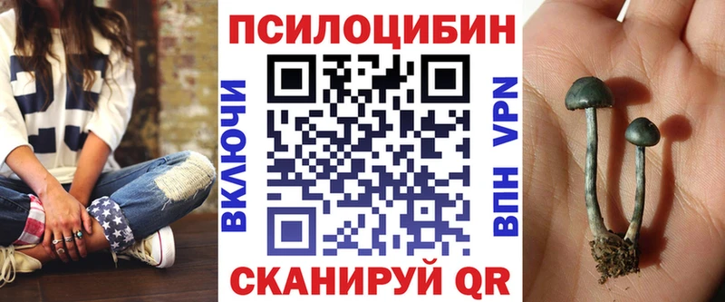 Галлюциногенные грибы GOLDEN TEACHER  купить наркотик  Джанкой 